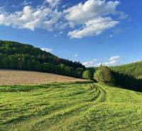Schöne grüne landwirtschaftliche und forstwirtschaftliche Flächen in Dolné Kočkovce unter klarem blauen Himmel.