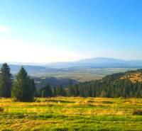 Zábiedovo: Landwirtschaftliche und forstwirtschaftliche Flächen mit Bäumen und weitläufigen Wiesen vor dem Hintergrund von Hügeln.