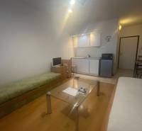 Einzimmerwohnung mit Sofa, Glastisch und Küchenzeile. Boden mit Holzdekor.
