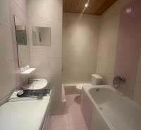 Badezimmer in einem Studio-Apartment mit Badewanne, Waschmaschine, Waschbecken und Toilette.