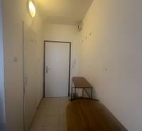 Ein schmaler Flur in einem Einzimmerapartment mit einfacher Einrichtung und weißen Wänden.