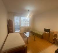 Einzimmerwohnung mit Holzboden, Bett, Sofa und Tisch, einfaches Interieur.
