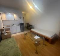 Einzimmerwohnung mit Küchenzeile, Sofa, Bett und Holzboden.