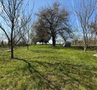 Ein Garten bei einem Einfamilienhaus in Zlaté Moravce mit Obstbäumen.