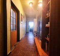 Der Flur in einem Einfamilienhaus mit einer Vitrine, Türen und Pflanzen am Ende.