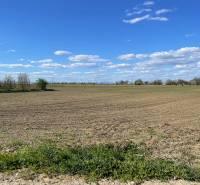 Ein weites Feld in der Košútska-Straße in Košúty unter blauem Himmel mit Bäumen am Horizont.