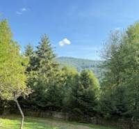 In Horná Mariková bei der Hütte Bäume und Gras unter blauem Himmel.
