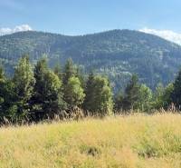 Berglandschaft bei Horná Mariková mit Wäldern und Wiese unter sonnigem Himmel.