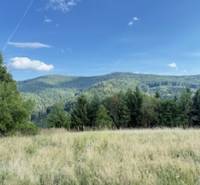 Berglandschaft bei Horná Mariková mit Wiese und Wäldern unter blauem Himmel.