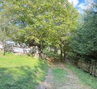 Der Weg zur Hütte in Horná Mariková, gesäumt von Bäumen und einem Zaun.