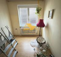 Ein Zimmer mit einem Holzboden, einer Pflanze und einer rosa Lampe.