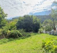 Der Garten beim Einfamilienhaus in Krivosúdy-Bodovka, umgeben von Grün und Bäumen.