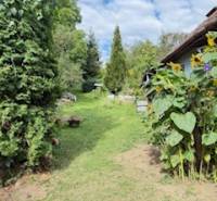 Ein Garten hinter einem Einfamilienhaus in Krivosúd-Bodovka mit blühenden Pflanzen und Grünflächen.
