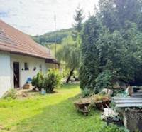 Der Garten beim Einfamilienhaus in Krivosúd-Bodovka, umgeben von Grün und Bäumen.