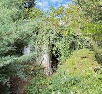 Der überwucherte Eingang zu einem verlassenen Einfamilienhaus in der Gemeinde Krivosúd-Bodovka, Krivosúd - Bodovka.