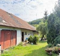 Der Hof eines Einfamilienhauses in Krivosúd-Bodovka mit einer Garage und einem Garten voller Vegetation.