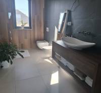 Badezimmer im Einfamilienhaus mit Badewanne, Waschbecken, Bidet und dekorativer Begrünung.