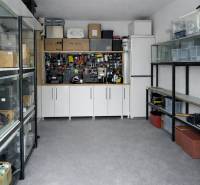 ChatGPT Image 8. 3. 2026, 21_39_32.png