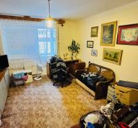 Wohnzimmer in einer 3-Zimmer-Wohnung mit Dekorationen, Möbeln und einem Boden in Holzoptik.