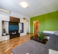 Wohnzimmer in einer 3-Zimmer-Wohnung mit Holzboden und grüner Wand.