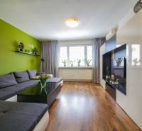 Wohnzimmer in einer 3-Zimmer-Wohnung mit Sofa, Holzboden und grüner Wand.