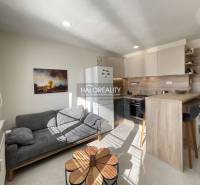 Wohnbereich einer Einzimmerwohnung mit Küche und Sofa, Boden mit Holzdekor.