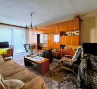 Wohnzimmer in einer 3-Zimmer-Wohnung mit rustikalen Möbeln und einem auffälligen Teppich.