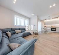 Wohnzimmer mit großer Couch und Küchenzeile, Boden mit Holzdekor.