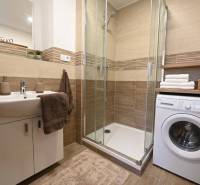 Badezimmer in einer 2-Zimmer-Wohnung mit Waschmaschine und Duschkabine, Boden mit Holzdekor.
