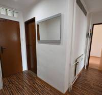 Der Flur in einer 2-Zimmer-Wohnung mit einem Boden in Holzoptik und einem Spiegel an der Wand.