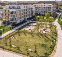In Bratislava - Ružinov, zwischen Wohnhäusern, erstreckt sich ein grüner Park mit einem Spielplatz.