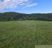 Grüne Wiese umgeben von Wäldern in Horný Tisovník, ideal für Grundstücke - Wohnen.