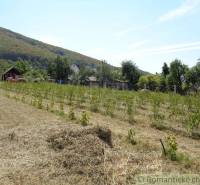 Hügelige Landschaft mit Weinbergen und Einfamilienhaus in Šiatorská Bukovinka.