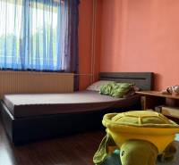 Ein Zimmer in einem Einfamilienhaus mit einem Bett, einem Spielzeug und einem Boden mit Holzdekor.