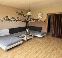 Wohnzimmer mit Sofa, Eulendekoration an der Wand und Holzboden.