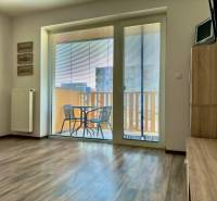 Wohnzimmer in einer 2-Zimmer-Wohnung mit Holzboden und Zugang zum Balkon.