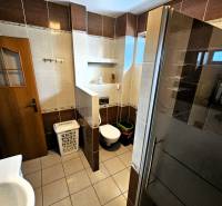 Badezimmer in einem Einfamilienhaus mit Fliesen, Dusche und Toilette.