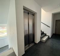 Flur mit Aufzug und Treppenhaus in einer 2-Zimmer-Wohnung, Boden mit Holzdekor.