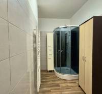 Badezimmer einer Zweizimmerwohnung mit typischer Duschkabine und Boden in Holzoptik.