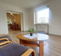 Wohnzimmer einer Zweizimmerwohnung mit Fenster, Holzboden und Tisch mit Pflanze.