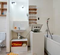 Badezimmer in einer 2-Zimmer-Wohnung mit Dusche, Waschmaschine, WC und Waschbecken.