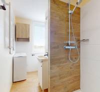 Badezimmer in einer Einzimmerwohnung mit Dusche und Boden in Holzoptik.