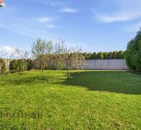 Der Garten des Einfamilienhauses in Kútniky mit Rasen und Obstbäumen.