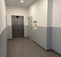 Innenraum mit Aufzug, graue Fliesen, Besondere Immobilien.