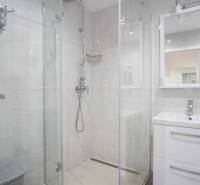 Badezimmer mit Dusche und Waschbecken in einer 2-Zimmer-Wohnung.