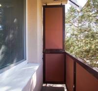 Balkon einer 2-Zimmer-Wohnung mit Blick ins Grüne, Geländer, Fenster.