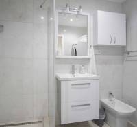 Badezimmer in einer 2-Zimmer-Wohnung mit Waschbecken, Duschkabine und Waschmaschine.