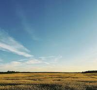 Landwirtschaftliche und forstwirtschaftliche Grundstücke in Častá mit einer weitläufigen Wiese unter blauem Himmel.