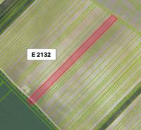 Landwirtschaftliche und forstwirtschaftliche Grundstücke in Častá mit dem auf der Karte markierten Grundstück E 2132.