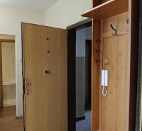 Eingangsbereich in einer 3-Zimmer-Wohnung mit Holzboden und Garderobenwand.